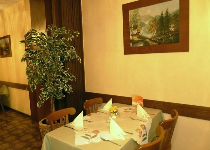 宾馆 斯坦恩曼宾馆 Ulmet