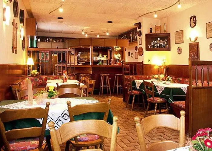 宾馆 斯坦恩曼宾馆 *